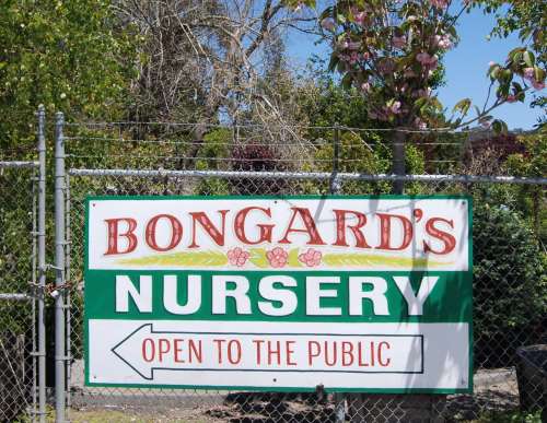 Bongard's Treescape Nursery